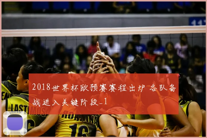 2018世界杯欧预赛赛程出炉 各队备战进入关键阶段_1