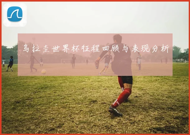 乌拉圭世界杯征程回顾与表现分析